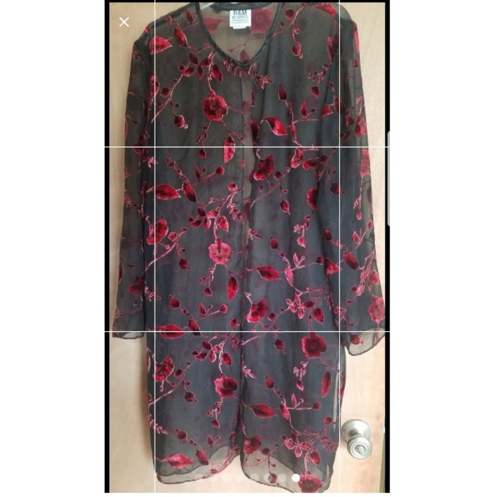 ❌❌SOLD❌❌Sheer top by Karen kwong